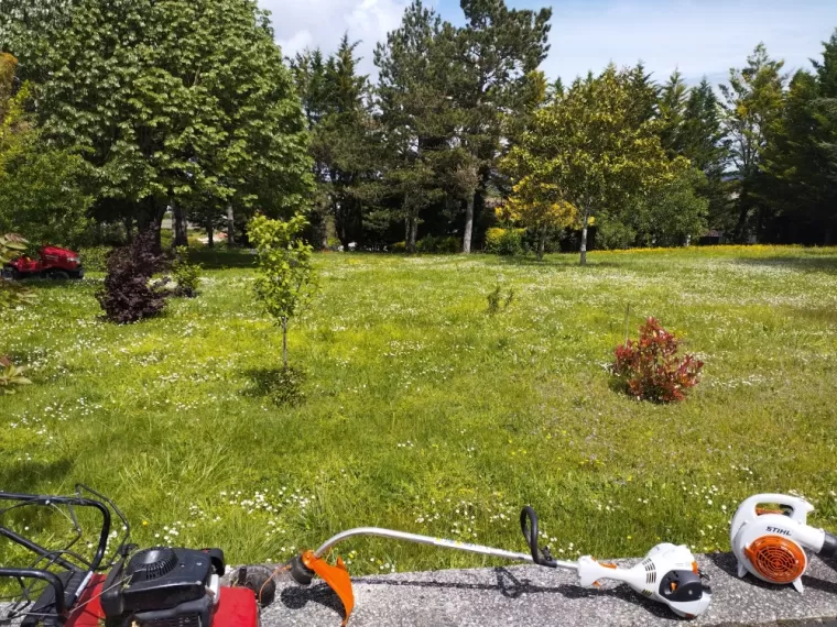 Entretien d'un jardin arboré