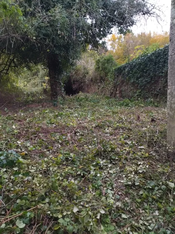 Débroussaillage et entretien à Cognac , Barbezieux-Saint-Hilaire, PASSION FLEUR ET GAZON