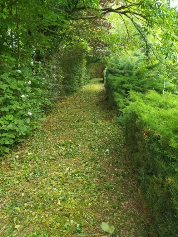 Remise en état de parcs et jardins sur Cognac , Barbezieux-Saint-Hilaire, PASSION FLEUR ET GAZON