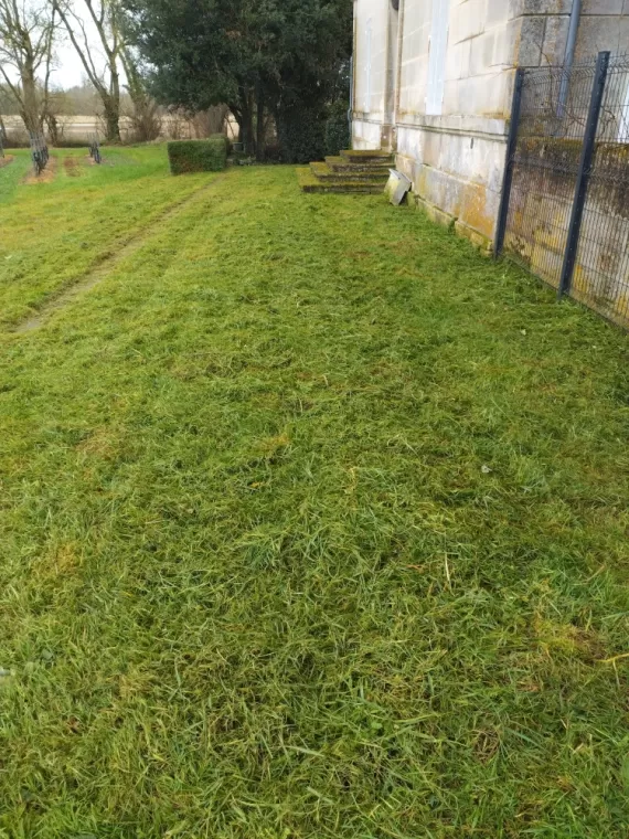 Débroussaillage et tontes pour Parc et jardin à Barbezieux , Barbezieux-Saint-Hilaire, PASSION FLEUR ET GAZON