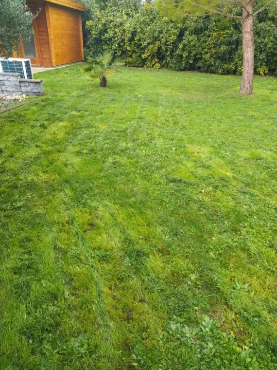 Prestations de tontes pour vos parcs et jardins sur Châteauneuf-sur-Charente , Barbezieux-Saint-Hilaire, PASSION FLEUR ET GAZON
