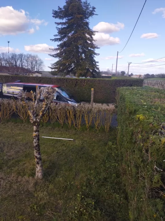 Paysagiste pour la taille de haie sur cognac , Barbezieux-Saint-Hilaire, PASSION FLEUR ET GAZON