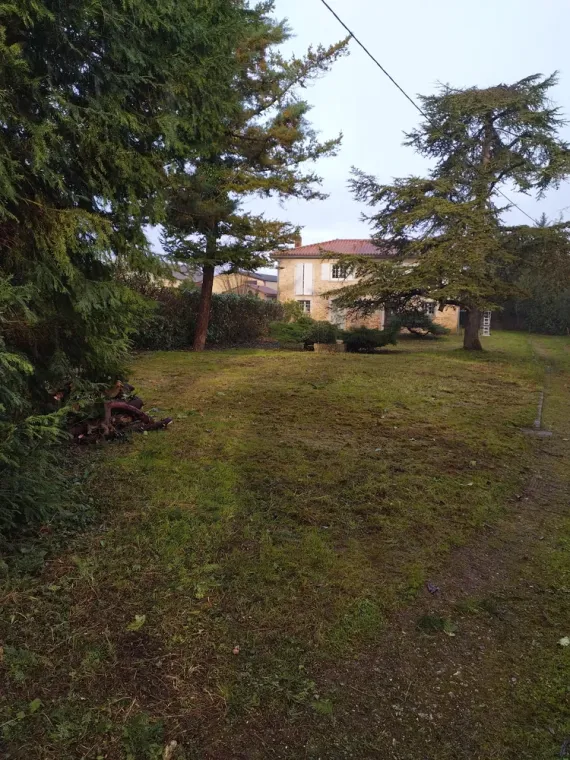 Remise en état d'une cour à cognac, Barbezieux-Saint-Hilaire, PASSION FLEUR ET GAZON