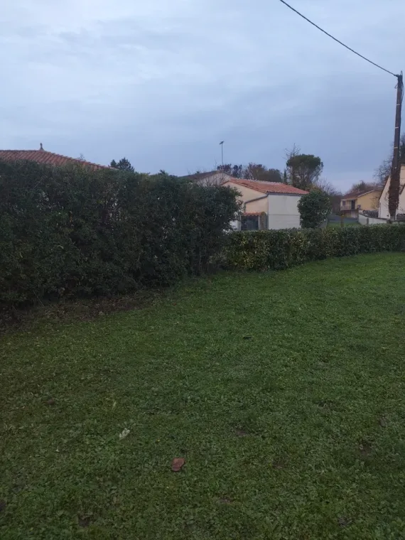 Taille de haie à Barbezieux-Saint-Hilaire, Barbezieux-Saint-Hilaire, PASSION FLEUR ET GAZON