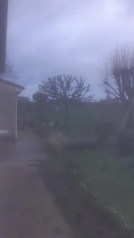 Taille et élagage d'arbres sur cognac, Barbezieux-Saint-Hilaire, PASSION FLEUR ET GAZON