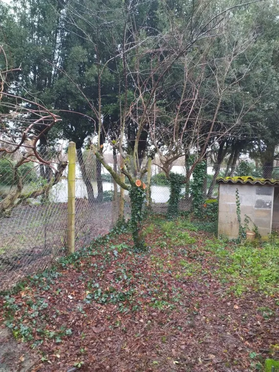 Nettoyage d'une cour pour chien à Barbezieux-Saint-Hilaire, Barbezieux-Saint-Hilaire, PASSION FLEUR ET GAZON