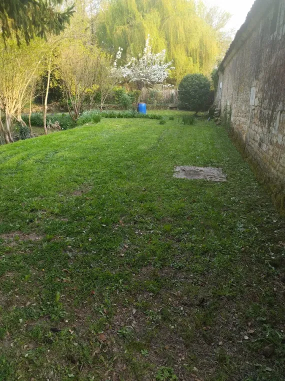 Tonte et entretien de parc et jardin à barbezieux Saint-Hilaire, Barbezieux-Saint-Hilaire, PASSION FLEUR ET GAZON