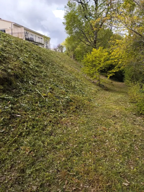 Débroussaillage d'un talus sur Angoulême, Barbezieux-Saint-Hilaire, PASSION FLEUR ET GAZON