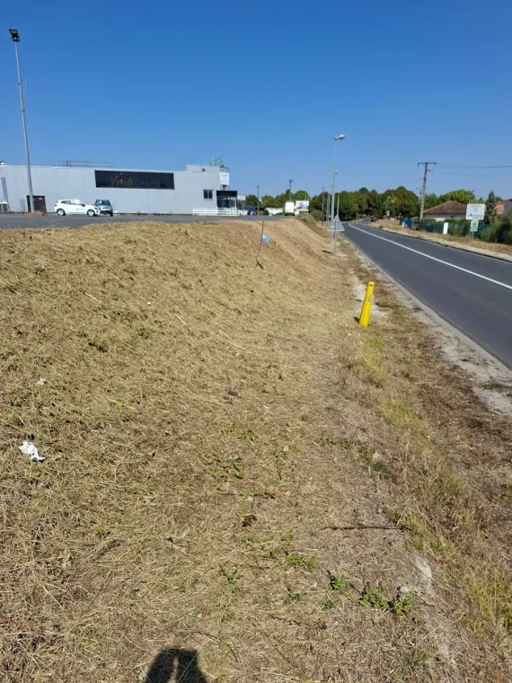 Entretien et nettoyage pour professionnels et municipalité, Barbezieux-Saint-Hilaire, PASSION FLEUR ET GAZON