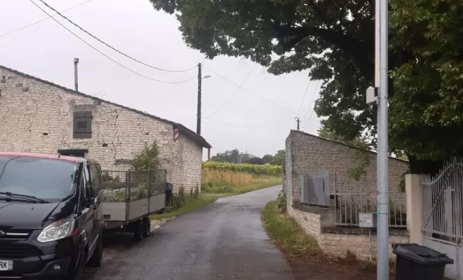 Taille d'un arbre à Salle d'angle , Barbezieux-Saint-Hilaire, PASSION FLEUR ET GAZON