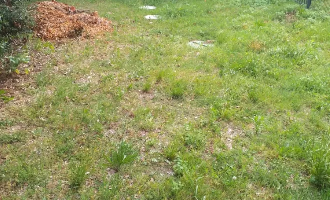 Contrat d'entretien pour parcs et jardins sur la couronne , Barbezieux-Saint-Hilaire, PASSION FLEUR ET GAZON