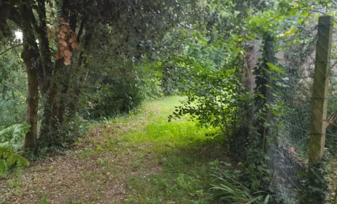 Contrat d'entretien pour parcs et jardins sur la couronne , Barbezieux-Saint-Hilaire, PASSION FLEUR ET GAZON