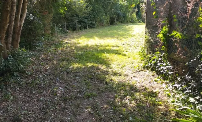Contrat d'entretien pour parcs et jardins sur la couronne , Barbezieux-Saint-Hilaire, PASSION FLEUR ET GAZON