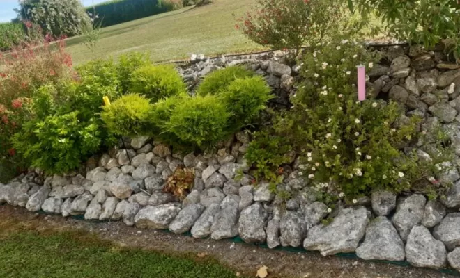 Aménagement et entretien de massif à juillac-le-coq, Barbezieux-Saint-Hilaire, PASSION FLEUR ET GAZON