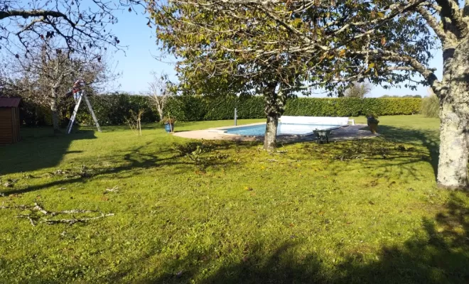 Taille de haie sur barbezieux , Barbezieux-Saint-Hilaire, PASSION FLEUR ET GAZON