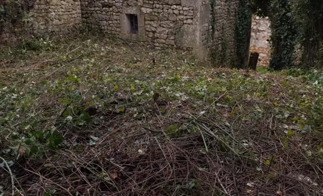 Débroussaillage et entretien à Cognac , Barbezieux-Saint-Hilaire, PASSION FLEUR ET GAZON