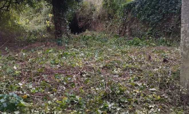 Débroussaillage et entretien à Cognac , Barbezieux-Saint-Hilaire, PASSION FLEUR ET GAZON