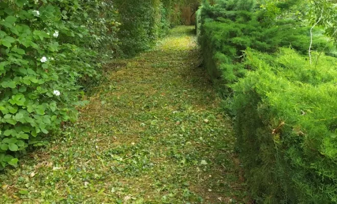 Remise en état de parcs et jardins sur Cognac , Barbezieux-Saint-Hilaire, PASSION FLEUR ET GAZON