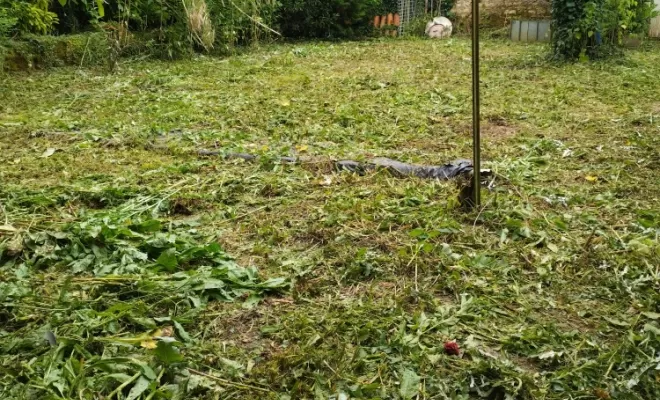 Remise en état de parcs et jardins sur Cognac , Barbezieux-Saint-Hilaire, PASSION FLEUR ET GAZON