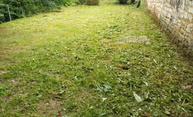 Remise en état de parcs et jardins sur Cognac , Barbezieux-Saint-Hilaire, PASSION FLEUR ET GAZON