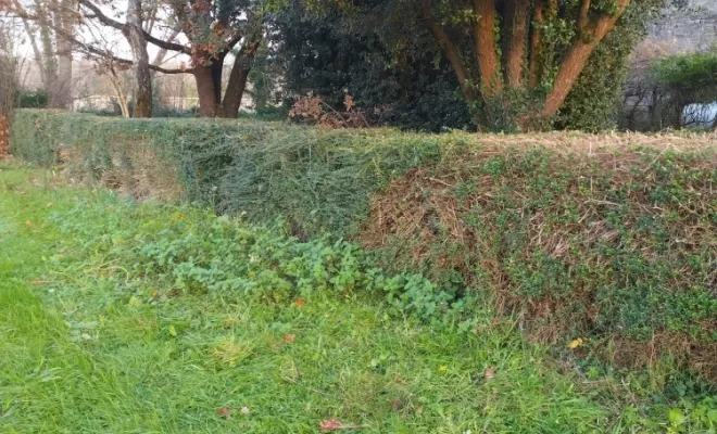 Remise en état de parcs et jardins sur Cognac , Barbezieux-Saint-Hilaire, PASSION FLEUR ET GAZON