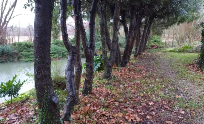 Entretien de parcs et jardins à Angoulême , Barbezieux-Saint-Hilaire, PASSION FLEUR ET GAZON