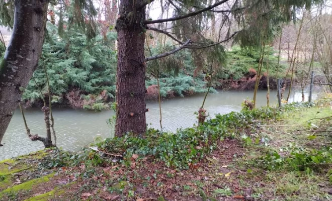Entretien de parcs et jardins à Angoulême , Barbezieux-Saint-Hilaire, PASSION FLEUR ET GAZON