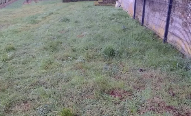 Débroussaillage et tontes pour Parc et jardin à Barbezieux , Barbezieux-Saint-Hilaire, PASSION FLEUR ET GAZON
