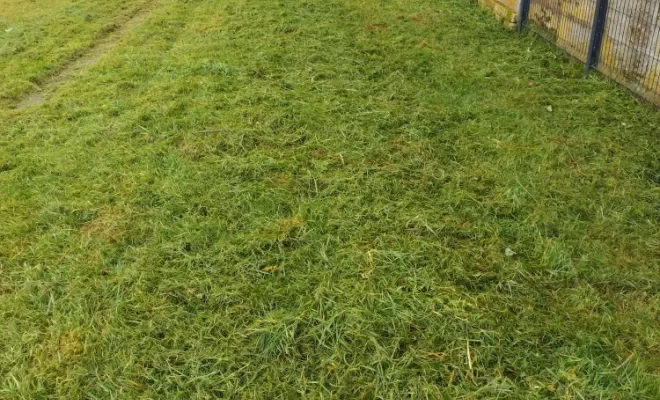 Débroussaillage et tontes pour Parc et jardin à Barbezieux , Barbezieux-Saint-Hilaire, PASSION FLEUR ET GAZON