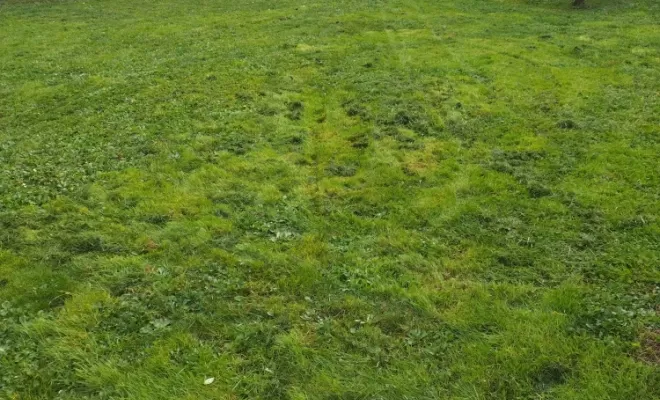 Prestations de tontes pour vos parcs et jardins sur Châteauneuf-sur-Charente , Barbezieux-Saint-Hilaire, PASSION FLEUR ET GAZON