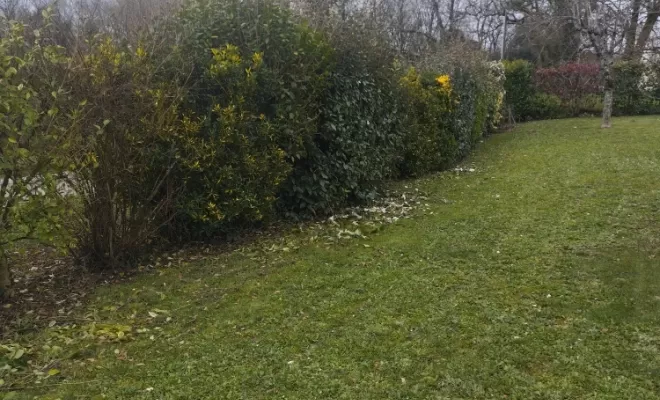 Professionnel pour taille de haie sur cognac , Barbezieux-Saint-Hilaire, PASSION FLEUR ET GAZON