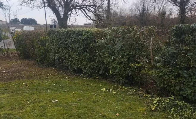 Professionnel pour taille de haie sur cognac , Barbezieux-Saint-Hilaire, PASSION FLEUR ET GAZON