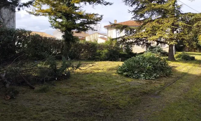 Remise en état d'une cour à cognac, Barbezieux-Saint-Hilaire, PASSION FLEUR ET GAZON