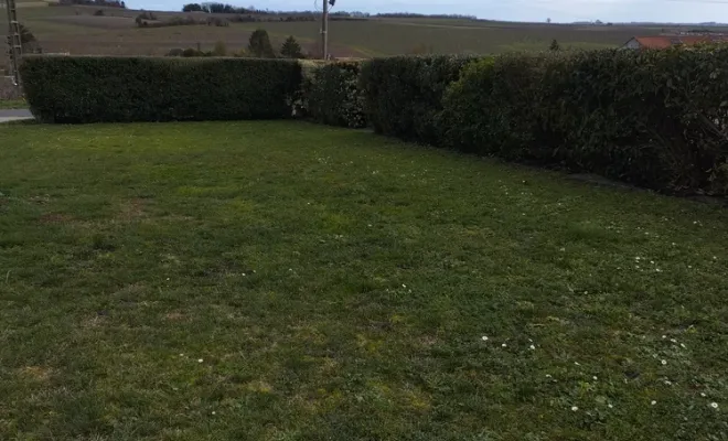 Taille et rajustement d'une haie à Jarnac, Barbezieux-Saint-Hilaire, PASSION FLEUR ET GAZON