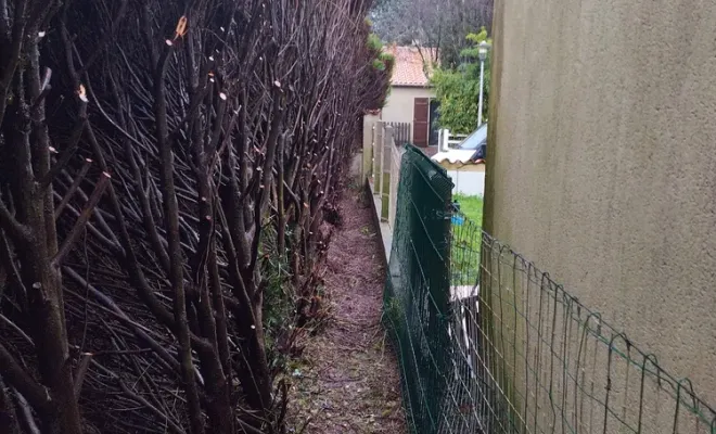 Création d'un passage derrière une haie à cognac, Barbezieux-Saint-Hilaire, PASSION FLEUR ET GAZON