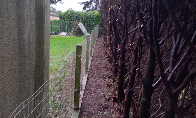 Création d'un passage derrière une haie à cognac, Barbezieux-Saint-Hilaire, PASSION FLEUR ET GAZON