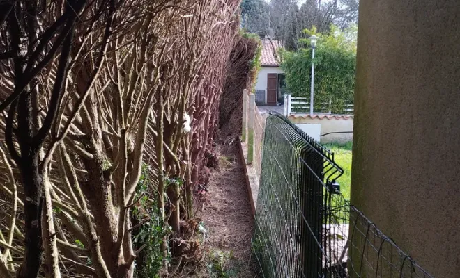 Création d'un passage derrière une haie à cognac, Barbezieux-Saint-Hilaire, PASSION FLEUR ET GAZON