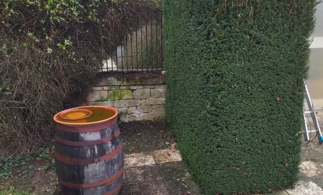 Taille d'une haie à Barbezieux Saint-Hilaire, Barbezieux-Saint-Hilaire, PASSION FLEUR ET GAZON