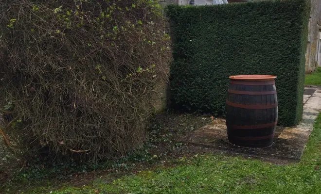 Taille d'une haie à Barbezieux Saint-Hilaire, Barbezieux-Saint-Hilaire, PASSION FLEUR ET GAZON