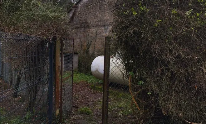 Nettoyage d'une cour pour chien à Barbezieux-Saint-Hilaire, Barbezieux-Saint-Hilaire, PASSION FLEUR ET GAZON
