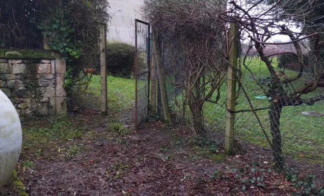 Nettoyage d'une cour pour chien à Barbezieux-Saint-Hilaire, Barbezieux-Saint-Hilaire, PASSION FLEUR ET GAZON