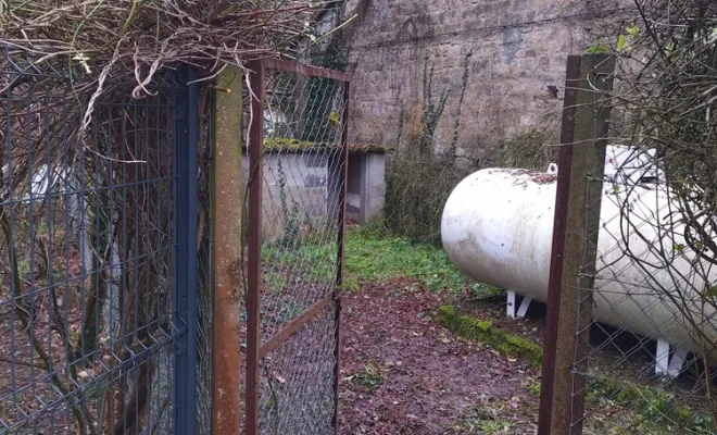 Nettoyage d'une cour pour chien à Barbezieux-Saint-Hilaire, Barbezieux-Saint-Hilaire, PASSION FLEUR ET GAZON