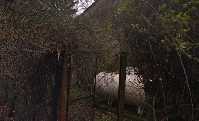 Nettoyage d'une cour pour chien à Barbezieux-Saint-Hilaire, Barbezieux-Saint-Hilaire, PASSION FLEUR ET GAZON