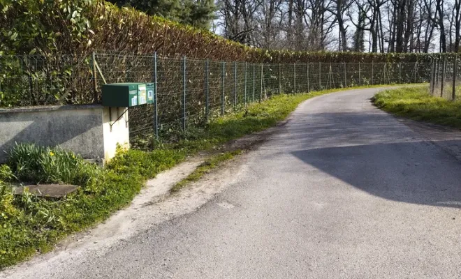 Taille d'une haie de lauriers à Barbezieux-Saint-Hilaire, Barbezieux-Saint-Hilaire, PASSION FLEUR ET GAZON
