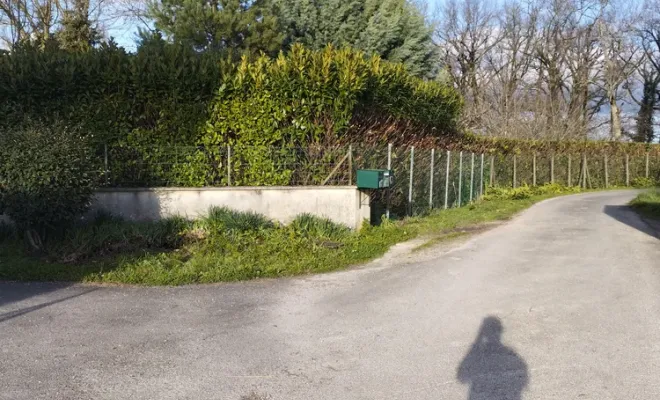 Taille d'une haie de lauriers à Barbezieux-Saint-Hilaire, Barbezieux-Saint-Hilaire, PASSION FLEUR ET GAZON