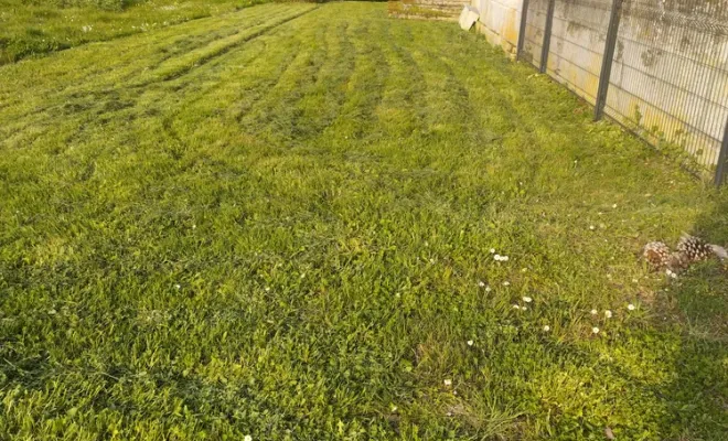 Tonte et entretien de parc et jardin à barbezieux Saint-Hilaire, Barbezieux-Saint-Hilaire, PASSION FLEUR ET GAZON