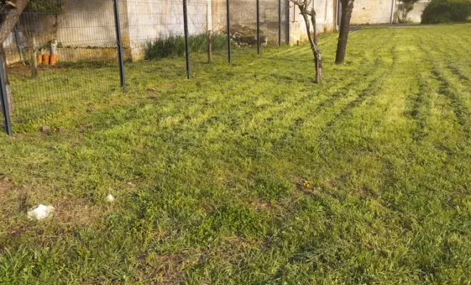 Tonte et entretien de parc et jardin à barbezieux Saint-Hilaire, Barbezieux-Saint-Hilaire, PASSION FLEUR ET GAZON