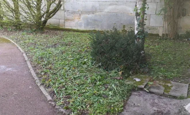 Tonte et entretien de parc et jardin à barbezieux Saint-Hilaire, Barbezieux-Saint-Hilaire, PASSION FLEUR ET GAZON