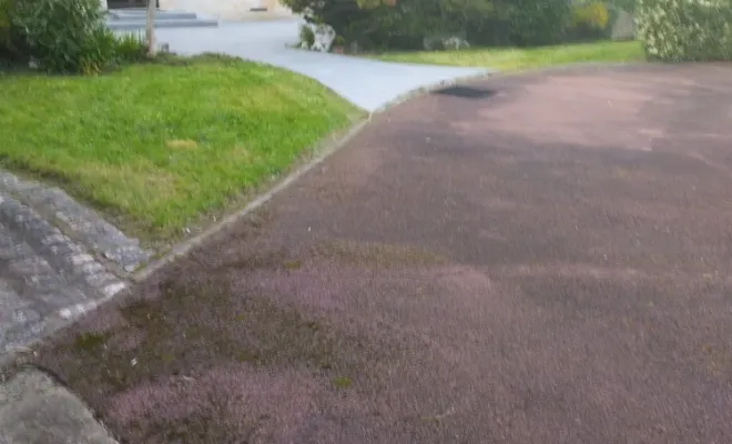 Tonte et entretien de parc et jardin à barbezieux Saint-Hilaire, Barbezieux-Saint-Hilaire, PASSION FLEUR ET GAZON