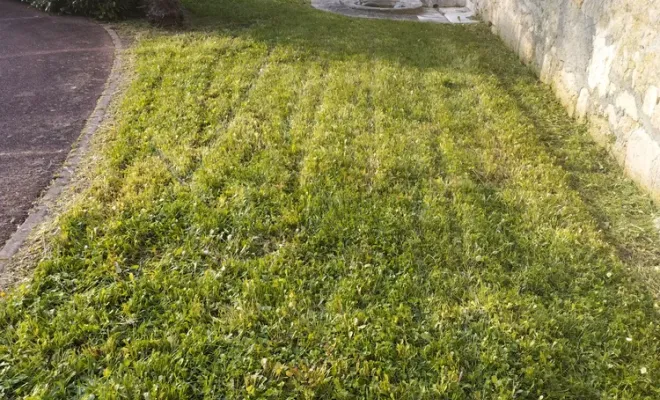 Tonte et entretien de parc et jardin à barbezieux Saint-Hilaire, Barbezieux-Saint-Hilaire, PASSION FLEUR ET GAZON